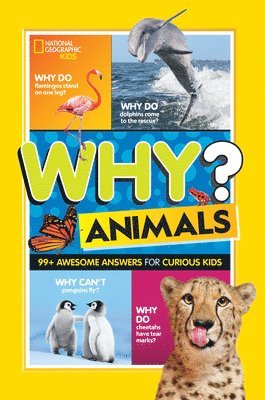 Why? Animals 1