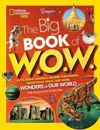 bokomslag Big Book of W.O.W.