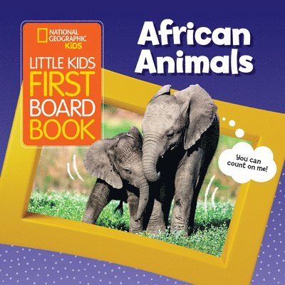 Little Kids First Board Book African Animals