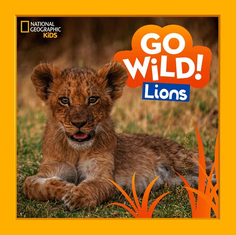 Go Wild! Lions