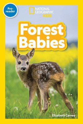 bokomslag Forest Babies (Pre-Reader)