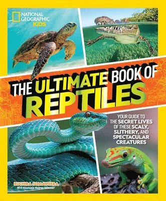 The Ultimate Book of Reptiles: Your Guide to the Secret Lives of These Scaly, Slithery, and Spectacular Creatures! 1