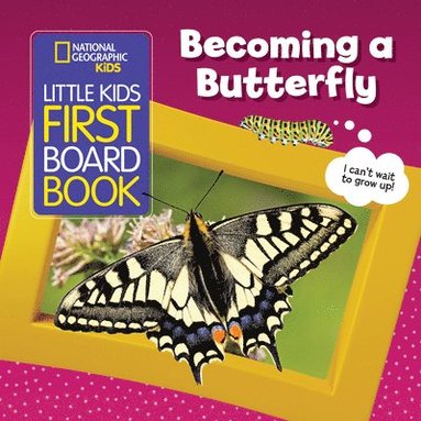 bokomslag National Geographic Kids Little Kids First Board Book: Becoming a Butterfly