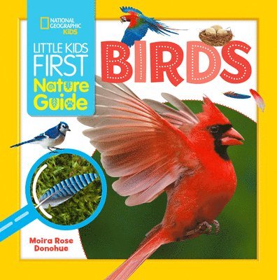 Moira Rose Donohue - Little Kids First Nature Guide Birds, Inbunden