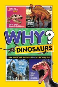 bokomslag Why? Dinosaurs