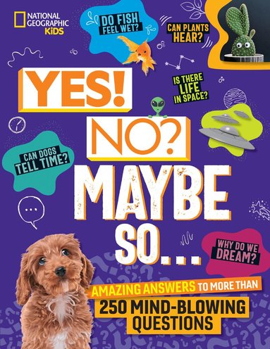 Julie Beer, Paige Towler - Yes! No? Maybe So..., Inbunden
