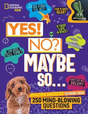 Julie Beer, Paige Towler - Yes! No? Maybe So...: Amazing Answers to More Than 250 Mind-Blowing Questions, Inbunden