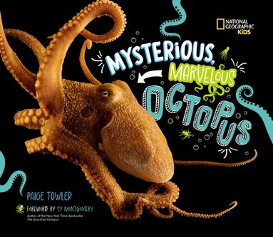 Paige Towler - Mysterious, Marvelous Octopus!, Inbunden