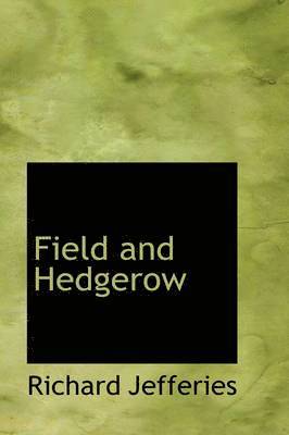Field and Hedgerow 1