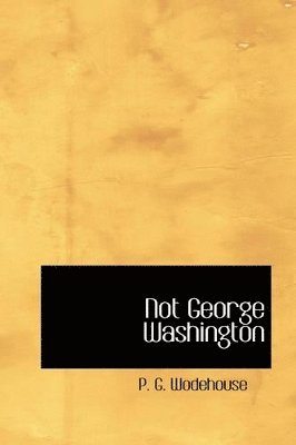 bokomslag Not George Washington