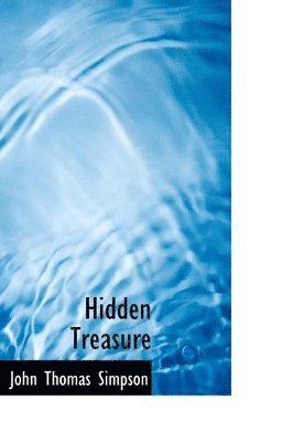 bokomslag Hidden Treasure