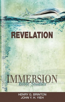 bokomslag Immersion Revelation