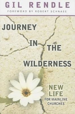 bokomslag Journey in the Wilderness: New Life for Mainline Churches