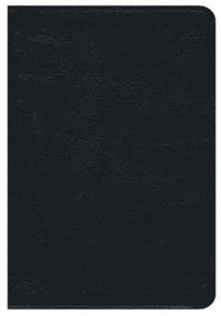 bokomslag Premium NRSV Bible