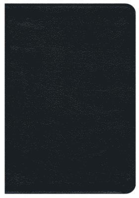 Premium NRSV Bible 1