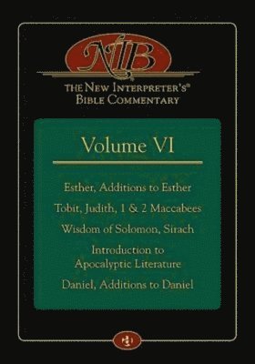 bokomslag New Interpreter's(r) Bible Commentary Volume VI