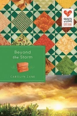 Beyond the Storm 1