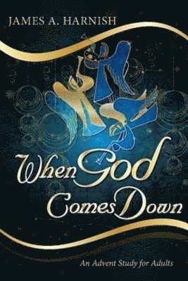 bokomslag When God Comes Down