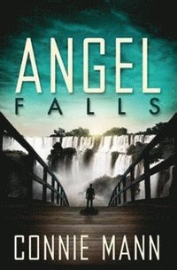 bokomslag Angel Falls