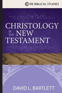 bokomslag Christology in the New Testament