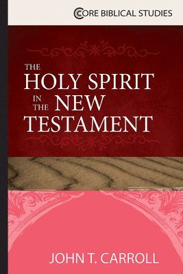 bokomslag Holy Spirit in the New Testament
