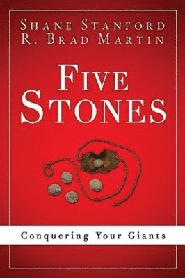 bokomslag Five Stones 34376