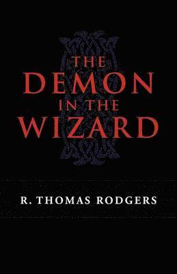 bokomslag Demon in the Wizard