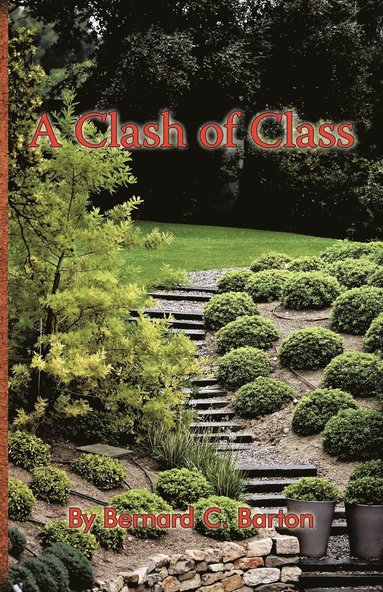 bokomslag Clash of Class