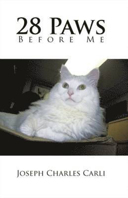 bokomslag Twenty-eight Paws Before Me