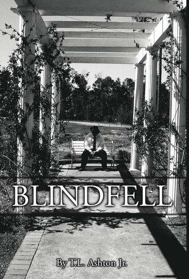 bokomslag Blindfell
