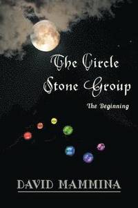 bokomslag The Circle Stone Group: Bk. 1