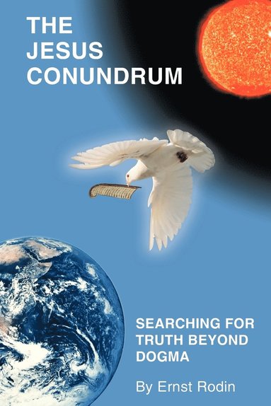 bokomslag Jesus Conundrum