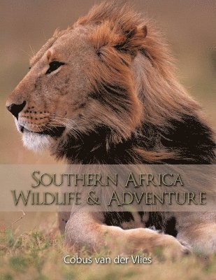 bokomslag Southern Africa Wildlife and Adventure