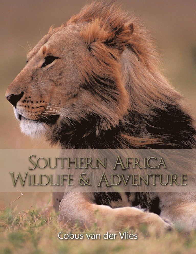 Southern Africa Wildlife and Adventure 1