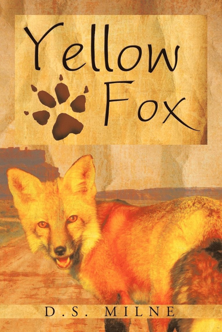 Yellow Fox 1