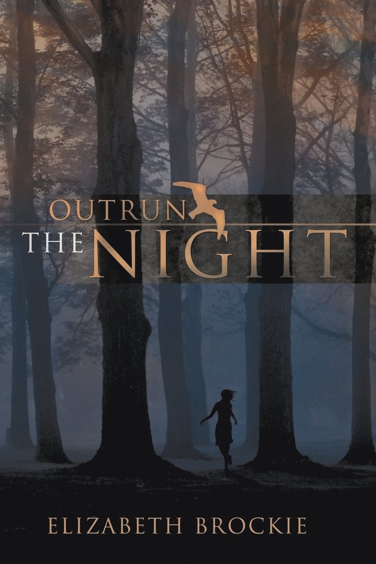 Outrun the Night