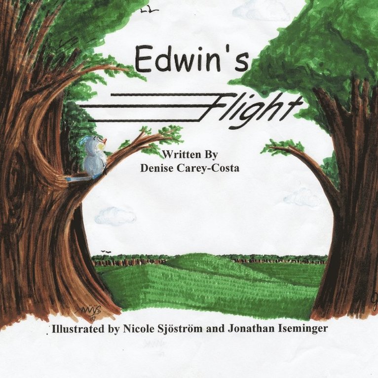 Edwin's Flight 1
