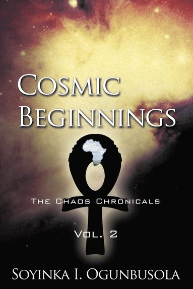 bokomslag Cosmic Beginnings