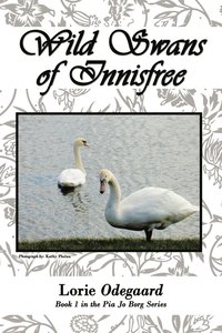 bokomslag Wild Swans of Innisfree