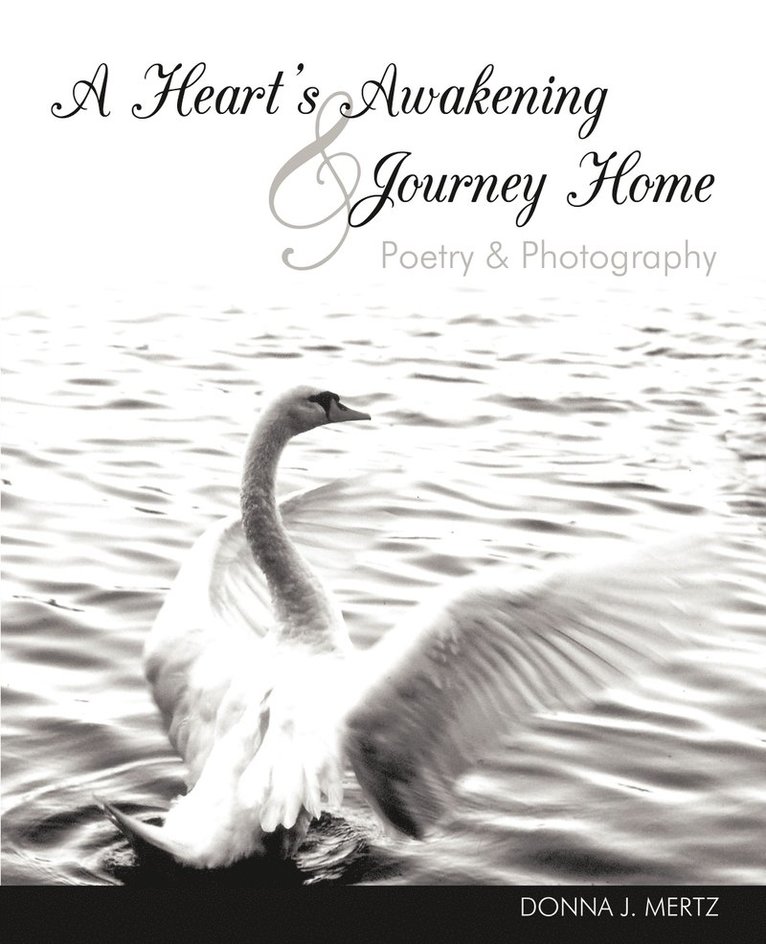 Heart's Awakening & Journey Home 1