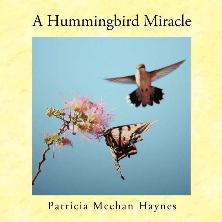 Hummingbird Miracle