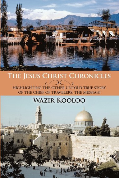 bokomslag Jesus Christ Chronicles