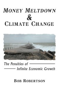 bokomslag Money Meltdown & Climate Change