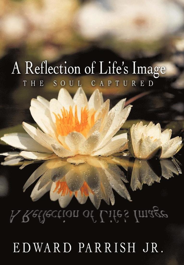 A Reflection of Life's Image 1