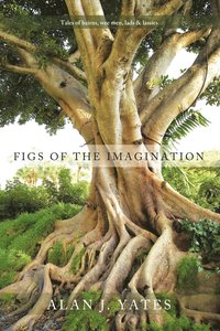 bokomslag Figs of the Imagination
