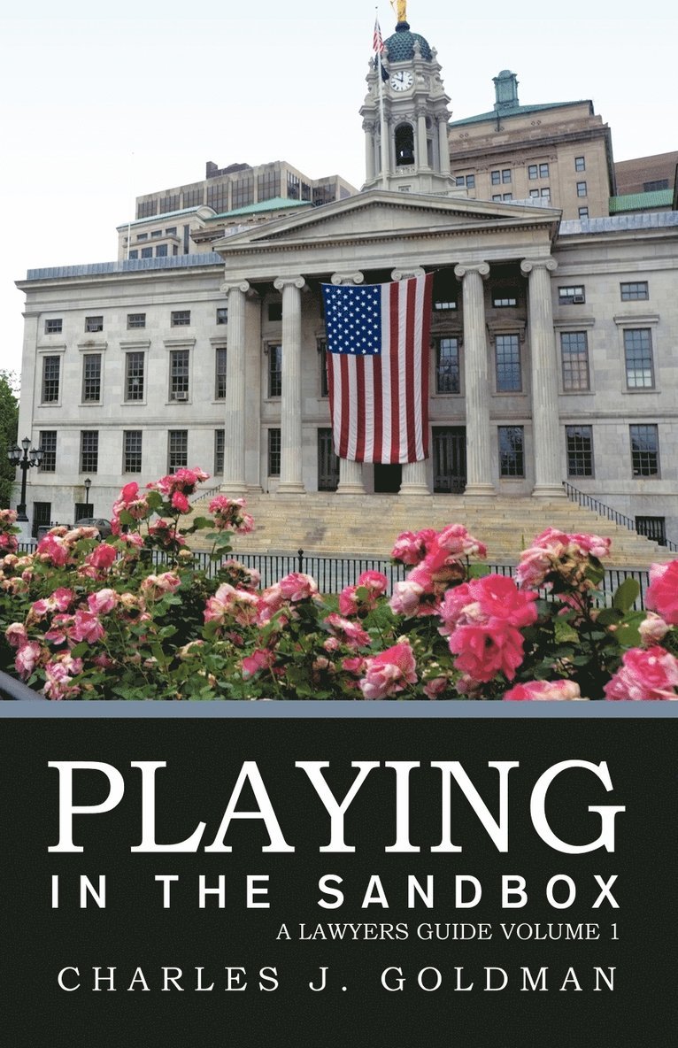 Charles J. Goldman, J. Goldman Charles J. Goldman - Playing in the Sandbox, Häftad