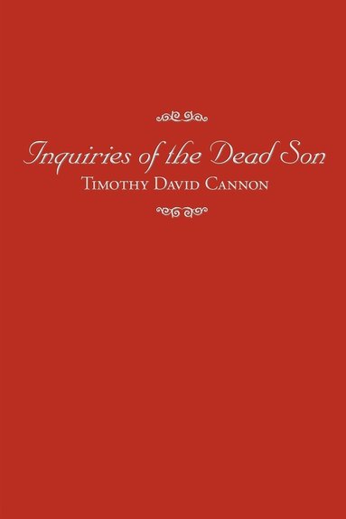 bokomslag Inquiries of the Dead Son