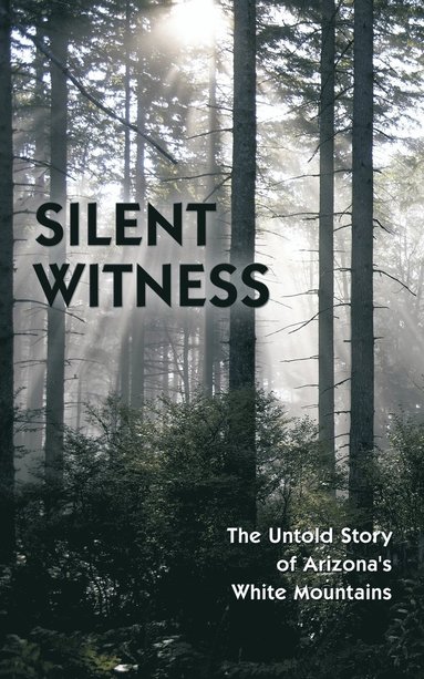 bokomslag Silent Witness