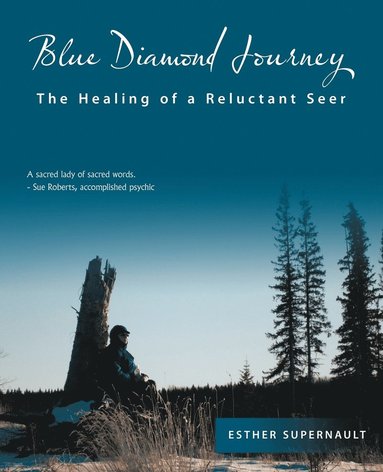 bokomslag Blue Diamond Journey