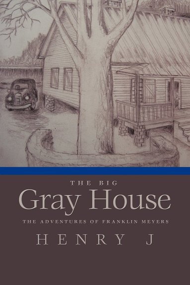 bokomslag Big Gray House